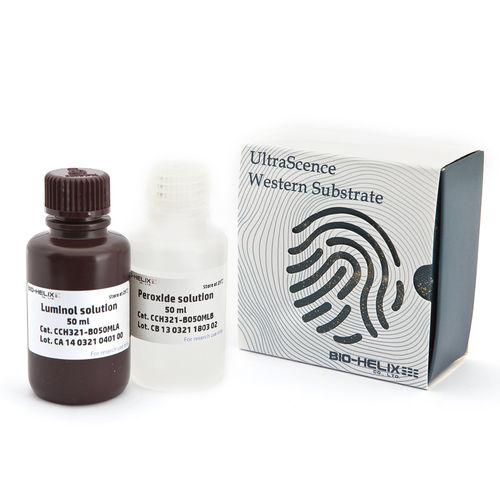 Reagenz / als Lösung - UltraScence Pico Plus - Bio-Helix - Antikörper / Antigen / für Western Blot