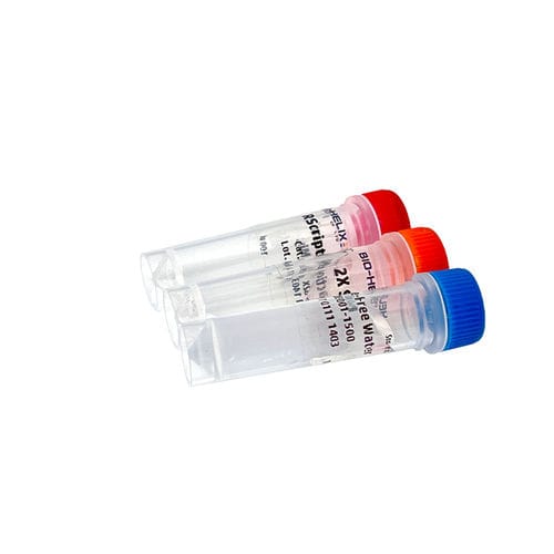 Reagenzkit / umgekehrte Transkriptase - RScript™ - Bio-Helix - RNase-Inhibitor / für cDNA-Synthese