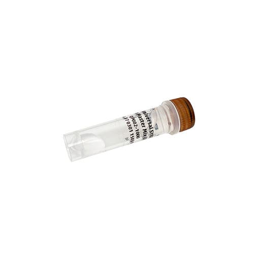 Enzyme-Reagenz - PanProbes™ - Bio-Helix - DNA-Polymerase / Farbstoff / für qPCR