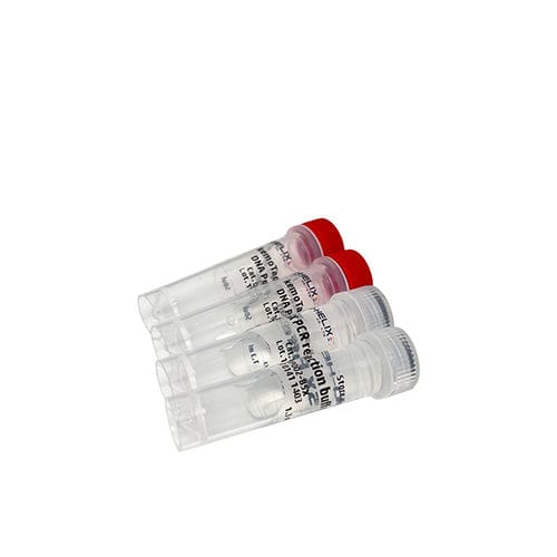 Enzyme-Reagenz - kemoTaq™ - Bio-Helix - DNA-Polymerase / Farbstoff / mit Warmstart
