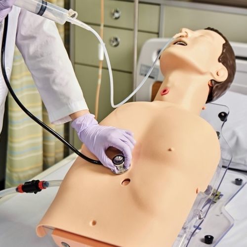Trainingssimulator - BT-CSIS - BT Inc. - für Injektionen / für Auskultation / für Tracheotomie