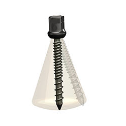 Pedikelschraube für Brustwirbel - ISpine PLS-Ⅱ - Zhejiang Jiayou Medical Device - polyaxial / Metall