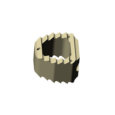 HWS-Zwischenwirbelimplantat - Zhejiang Jiayou Medical Device - ventraler Zugang / aus PEEK