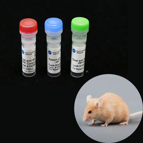 Monoklonaler Antikörper - BAB1738 - MULTI SCIENCES(LIANKE) BIOTECH, CO.,LTD. - Collagenbeschichtung / für Forschungszwecke / für Veterinärlabor