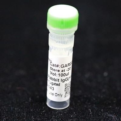 Monoklonaler Antikörper - BAB1727 - MULTI SCIENCES(LIANKE) BIOTECH, CO.,LTD. - Konservierungsmittel / für Forschungszwecke / für Veterinärlabor