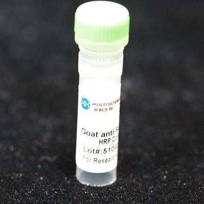 Monoklonaler Antikörper - BAB1724 - MULTI SCIENCES(LIANKE) BIOTECH, CO.,LTD. - Konservierungsmittel / Collagenbeschichtung / für Forschungszwecke