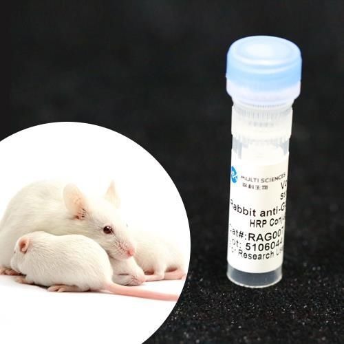 Monoklonaler Antikörper - BAB1721 - MULTI SCIENCES(LIANKE) BIOTECH, CO.,LTD. - Konservierungsmittel / für Forschungszwecke / Protein