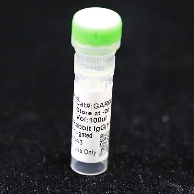 Monoklonaler Antikörper - BAB1719 - MULTI SCIENCES(LIANKE) BIOTECH, CO.,LTD. - Konservierungsmittel / für Forschungszwecke / Protein