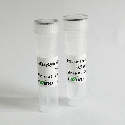 Reagenz / umgekehrte Transkriptase - EasyQuick RT - Jiangsu CoWin Biotech Co.,Ltd - für RT-qPCR