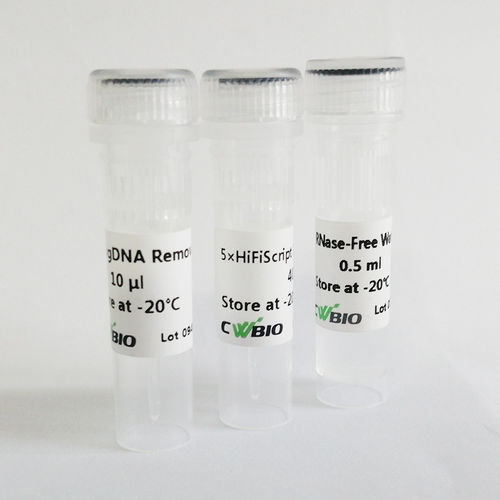 Enzyme-Reagenz - HiFiScript - Jiangsu CoWin Biotech Co.,Ltd - umgekehrte Transkriptase / für RT-PCR / für RT-qPCR