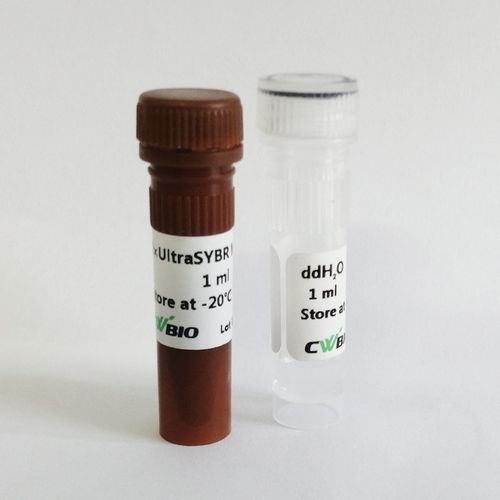 Enzyme-Reagenz - UltraSYBR Mixture - Jiangsu CoWin Biotech Co.,Ltd - DNA-Polymerase / Taq-Polymerase / Farbstoff