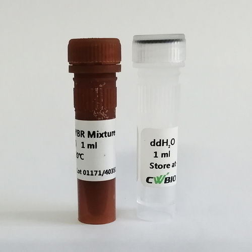 DNA-Polymerase-Reagenz - UltraSYBR Mixture - Jiangsu CoWin Biotech Co.,Ltd - Taq-Polymerase / Pufferlösung / Farbstoff