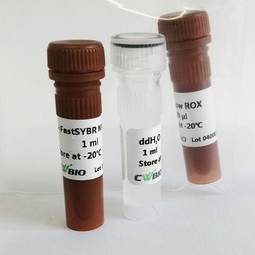 Enzyme-Reagenz - FastSYBR Mixture - Jiangsu CoWin Biotech Co.,Ltd - DNA-Polymerase / Taq-Polymerase / für qPCR
