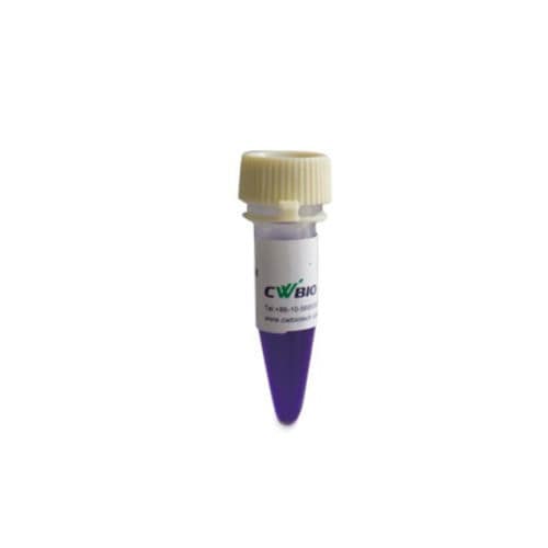 DNA-Polymerase-Reagenz - 2×Flash - Jiangsu CoWin Biotech Co.,Ltd - Farbstoff / für PCR / mit Warmstart