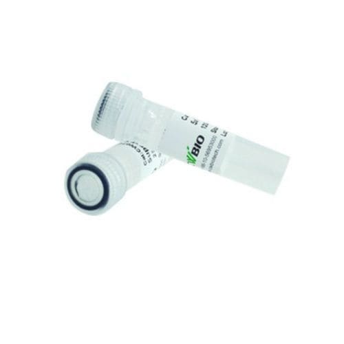 Ladepuffer-Reagenz - 2×Super Pfx - Jiangsu CoWin Biotech Co.,Ltd - Enzyme / DNA-Polymerase / für PCR