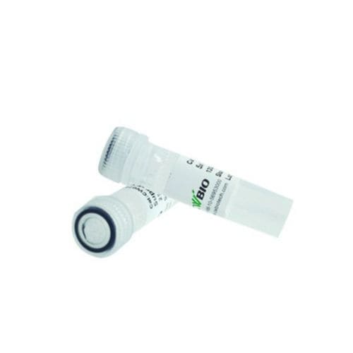 Protease Reagenz - CW2572L - Jiangsu CoWin Biotech Co.,Ltd - K-Proteinase / für Mikrobiologie / pH