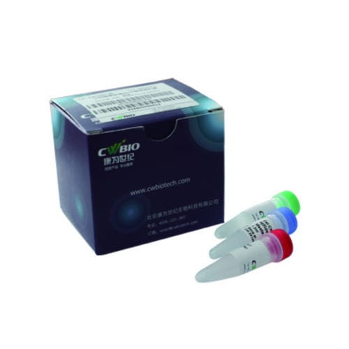 Enzyme-Reagenzkit - Jiangsu CoWin Biotech Co.,Ltd - DNA-Polymerase / NGS / für DNA-Sequenzierung