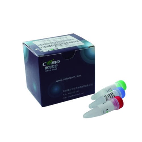 Enzyme-Reagenzkit - Jiangsu CoWin Biotech Co.,Ltd - DNA-Polymerase / NGS / zur Vorbereitung von ADN-Banken