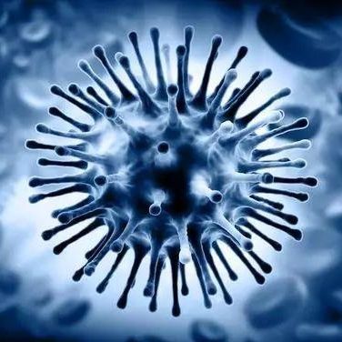 Testkit für Infektionskrankheiten - Artron Bioresearch Inc. - Influenza A / Influenza B / Nasen-Rachenraum