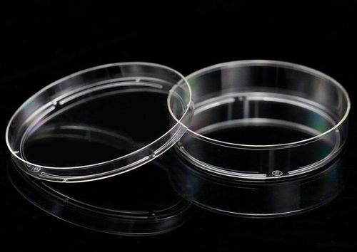 Petrischale - MGN-C08 - MyGenostics Inc.