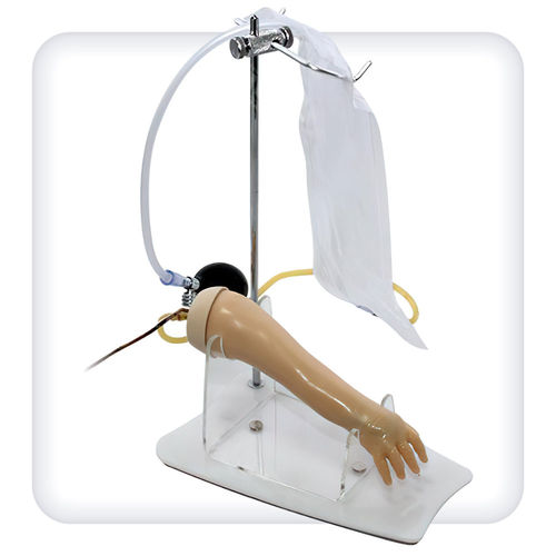 Anatomisches Modell / Hand - M1088 - SATC solution - Arm / Vene / Haut
