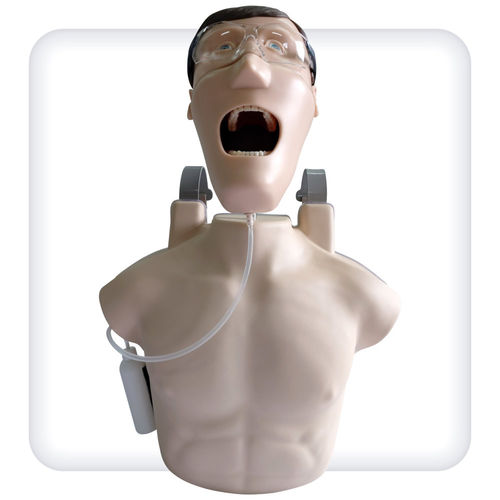 Anatomisches Modell / Kiefer - CM0002 - SATC solution - Kopf / Haut / Rumpf