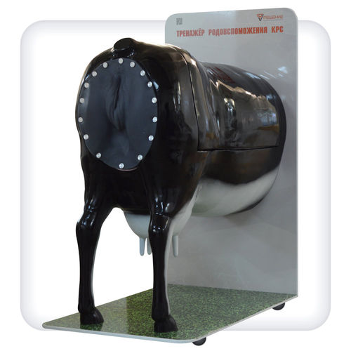 Trainingssimulator - B1001 - SATC solution - für Entbindungen / für Veterinärmedizin / Rinder