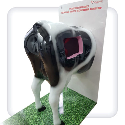 Trainingssimulator - B1002 - SATC solution - für rektale Palpation / für Veterinärmedizin / Rinder