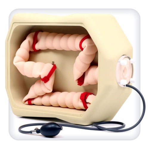 Simulator für Biopsie - M1118 - SATC solution - für Koloskopie / Anatomie / für Gastroenterologie