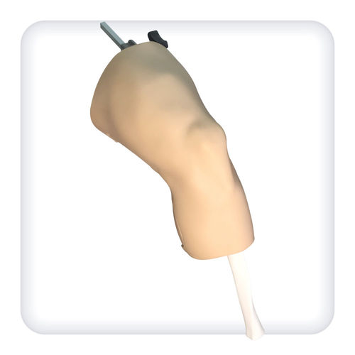 Simulator für Arthroskopie - M1127 - SATC solution - chirurgisch / Anatomie / Knie