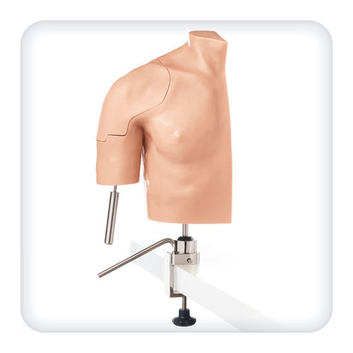Simulator für Arthroskopie - M1128 - SATC solution - chirurgisch / Anatomie / Schulter