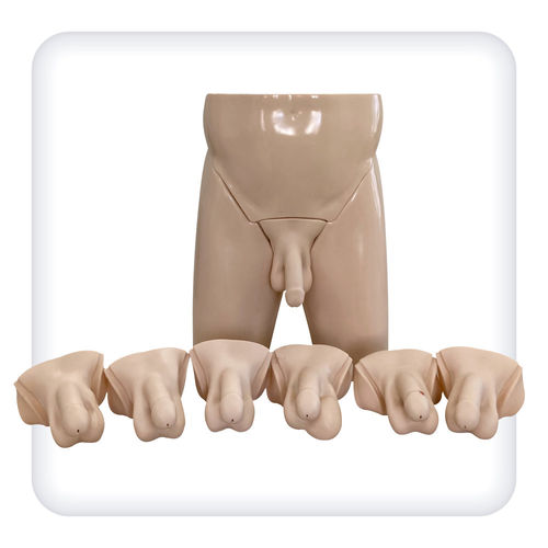 Simulator für Hodentastuntersuchung - M1098 - SATC solution - für urologische Behandlungen / Anatomie / männlich