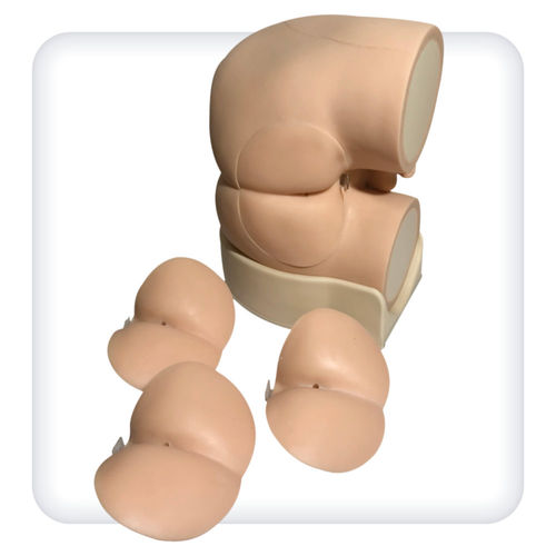 Simulator für Prostatauntersuchung - M1144 - SATC solution - für rektale Palpation / für urologische Behandlungen / männlich