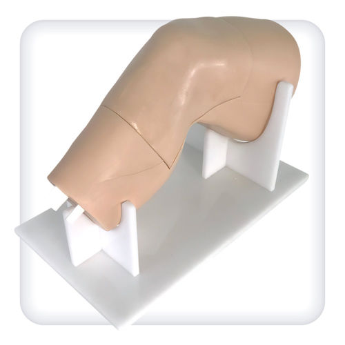 Anatomisches Modell / Gelenk - M1110 - SATC solution - Knie / untere Extremitäten / Chirurgie