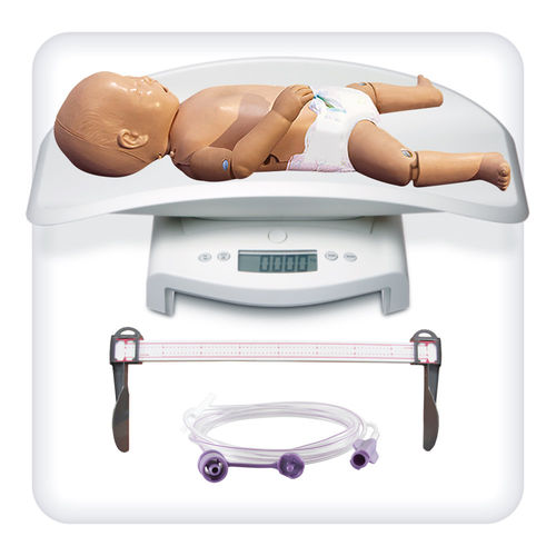 Anatomisches Modell / Gelenk - M1082 - SATC solution - Kopf / Gesicht / Nasen