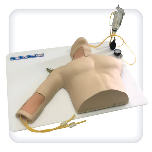 Simulator für intravenöse Katheterisierung - M1129 - SATC solution - Notfall / Anatomie / Oberkörper