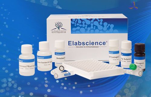 Testkit für Forschungszwecke - QuicKey Pro™ - Elabscience Biotechnology Inc. - für IL-6 / Dichte / Serum
