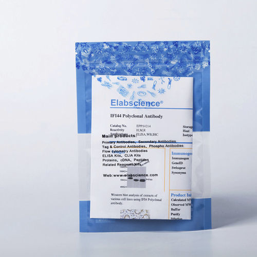 Reagenz / als Lösung - E-AB-V1002 - Elabscience Biotechnology Inc. - monoklonaler Antikörper / Apoptose / für Western Blot