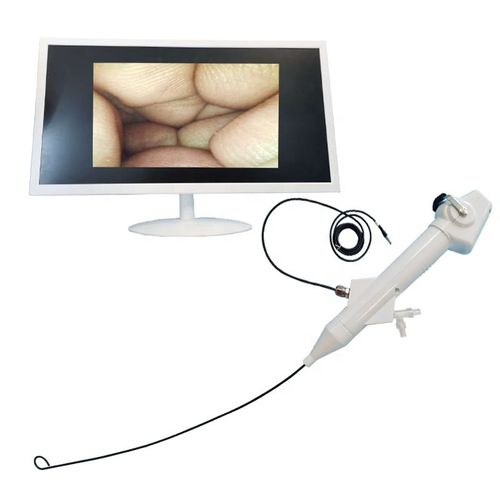 Video-Utereroskop / zum Einmalgebrauch -  Ureter Flexible Nephroscope - Tianjin Guyufan Biological Technology