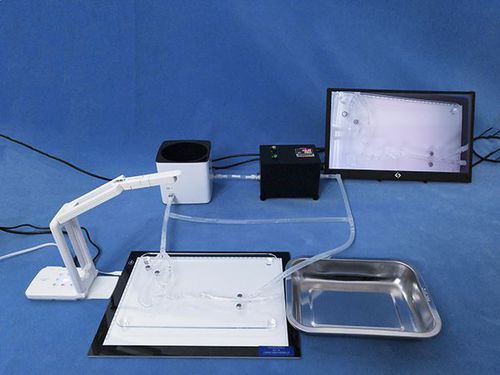 Trainingssimulator - Trando 3D Medical Technology - Chirurgie / tragbar / Blutkreislaufsystem