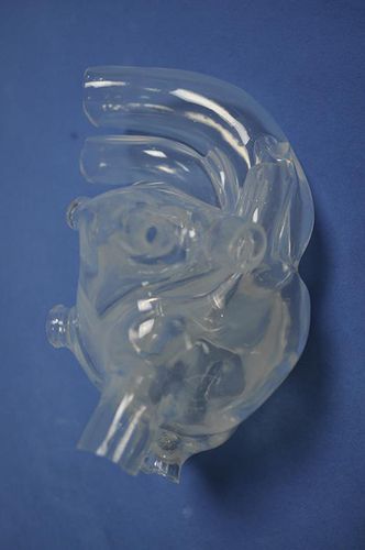 Anatomisches Herzmodell - XX011D - Trando 3D Medical Technology - für die Ausbildung / männlich / Erwachsene