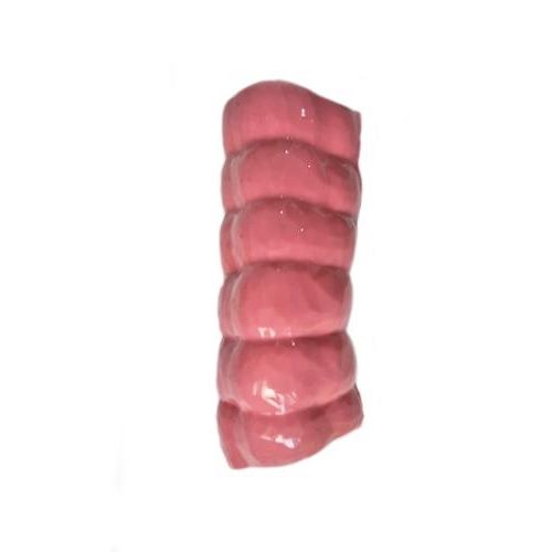 Anatomisches Muskelmodell - HSX007 - Trando 3D Medical Technology - Dickdarm / Körper / chirurgisch