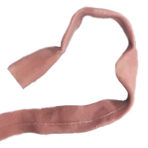 Anatomisches Modell / Zwölffingerdarm - HSX010 - Trando 3D Medical Technology - Dünndarm / Ausbildung