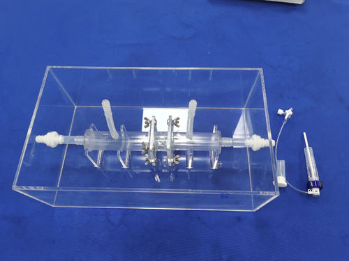 Anatomisches Modell / Ganzkörper - Trando 3D Medical Technology - Ausbildung / transparent