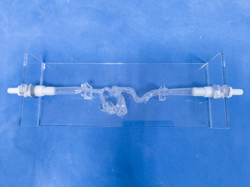 Blutgefäße-Gefäßmodell - SDL004 - Trando 3D Medical Technology - Gehirn / Intrakranieller / für Gefäßchirurgie