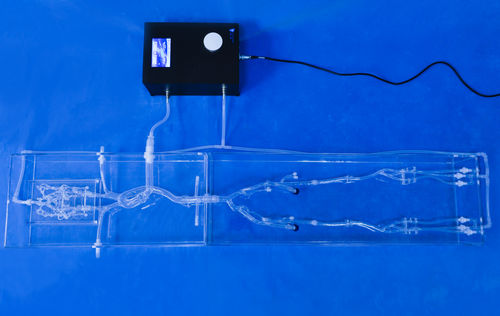 Anatomisches Modell / für Neurologie - FA003D - Trando 3D Medical Technology - Arteria femoralis / für minimalinvasive Chirurgie / Ausbildung