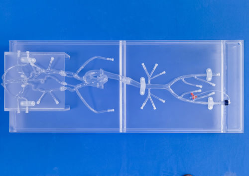Gefäßmodell für Neurologie - SJ001D-02 - Trando 3D Medical Technology - Blutgefäße / Ganzkörper / für minimalinvasive Chirurgie