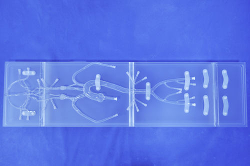 Gefäßmodell für Neurologie - SJ001D-02 - Trando 3D Medical Technology - Blutgefäße / für minimalinvasive Chirurgie / für Gefäßchirurgie