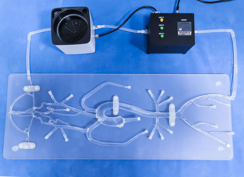 Blutgefäße-Gefäßmodell - SJ001D-04 - Trando 3D Medical Technology - für minimalinvasive Chirurgie / für Neurochirurgie / Ausbildung