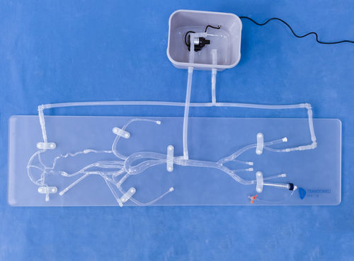 Intrakranieller Gefäßmodell - SJX008 - Trando 3D Medical Technology - Blutgefäße / für minimalinvasive Chirurgie / für Gefäßchirurgie